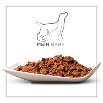 Ginger & Ales Lieblings Trocken BARF mit Truten und Lachs (500g)