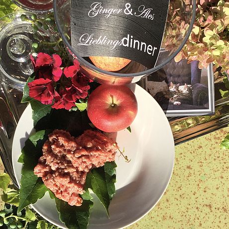BARF Dinner - Ginger & Ales Lieblingsdinner mit Truten und Lachs