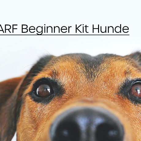 BARF Beginner Kit Hunde